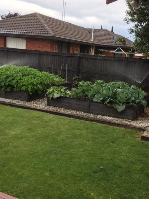 Travellers Retreat B&B Christchurch Exterior foto